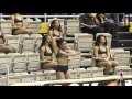 Alabama State Stingettes &quot;Blunt Blowin&quot; (AA&amp;MU &#39;17)