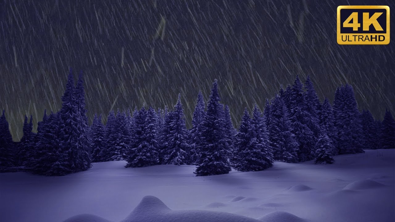 10 HOURS - NIGHT SNOWFALL WITH BLIZZARD AND HOWLING WIND SOUNDS FOR ...