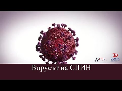 Видео: Може ли ХИВ да зарази дендритни клетки?