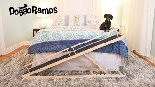 Introducing DoggoRamps  The Small Dog Bed Ramp