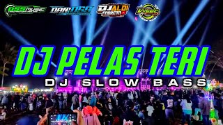 DJ SLOW BASS PELAS TERI TERBARU ALDI FUNDURATION