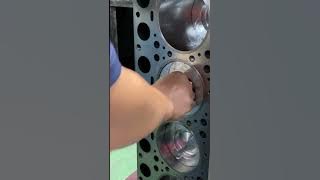 WP12.WP10.371.WD615.615.47 WP13 is suitable for vehicles equipped with Weichai and Sinotruk engines.