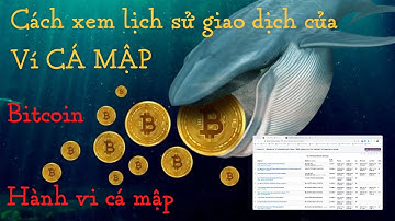 Crypto: Cách xem lịch sử giao dịch của Ví CÁ MẬP