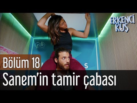 Erkenci Kuş 18. Bölüm - Sanem'in Tamir Çabası