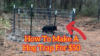 How to make a hog trap for $50