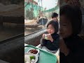 Explore Quancheng Oulebao Animal Kingdom: A Zoo Adventure Awaits