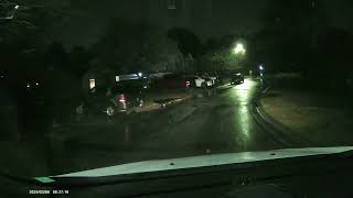 Why did the frog cross the road? #rain #road #frog #night