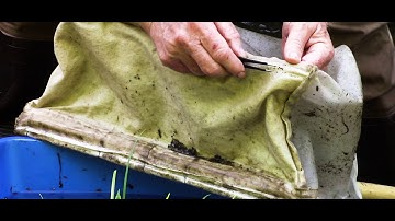 Sampling macroinvertebrates in streams