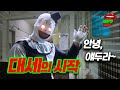 요즘 미쿡대세 그 광대넘 의 시작ㄷㄷ 영화리뷰 결말포함 요즘 미쿡대세 그 광대넘 의 시작ㄷㄷ 영화리뷰 결말포함