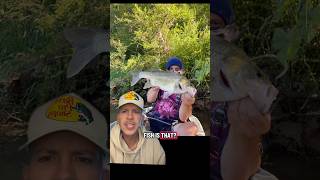 Josh with a Bass in Australia #fishing #fishingtips #australiafishing #bassfishing