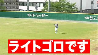 【珍であり】『ライトゴロ』【好である】