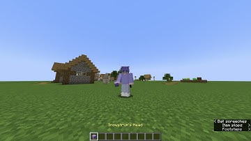 How to summon Player Heads in Vanilla Minecraft.