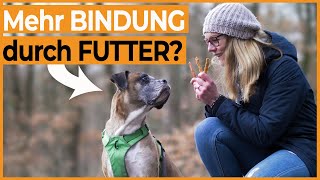 Bindung zum Hund stärken durch Leckerlis? Warum Futter im Training nicht den Hund erzieht