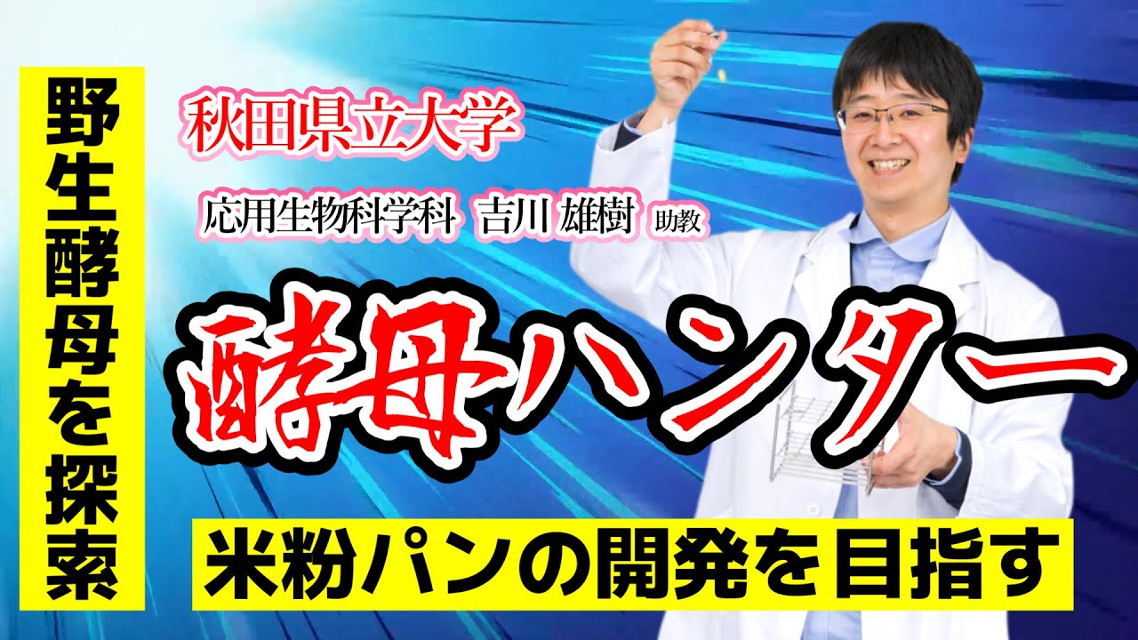 製パン適性の高い野生酵母を選抜し秋田県独自の米粉パンを開発🍞｜秋田県立大学 応用生物科学科／食品醸造研究グループ 