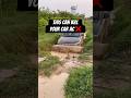 THIS CAN KILL YOUR CAR AC 🚨#automobile #car #damage #dirt #cabin #shorts #mistakes #suv #4x4 #viral