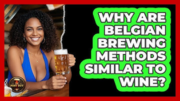 Why Are Belgian Brewing Methods Similar To Wine? - The Pint Guy