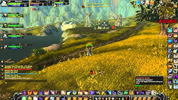 druid hacking in arathy deathwing realm