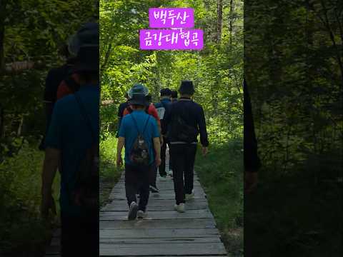 백두산 금강대협곡