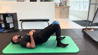 Hip Bridge Adductor Squeeze Isometric Hold