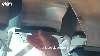 Pistachio Sorting