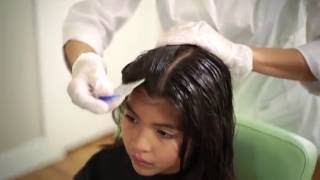 Full Service Lice Removal Treatment   Lice Clinics of America