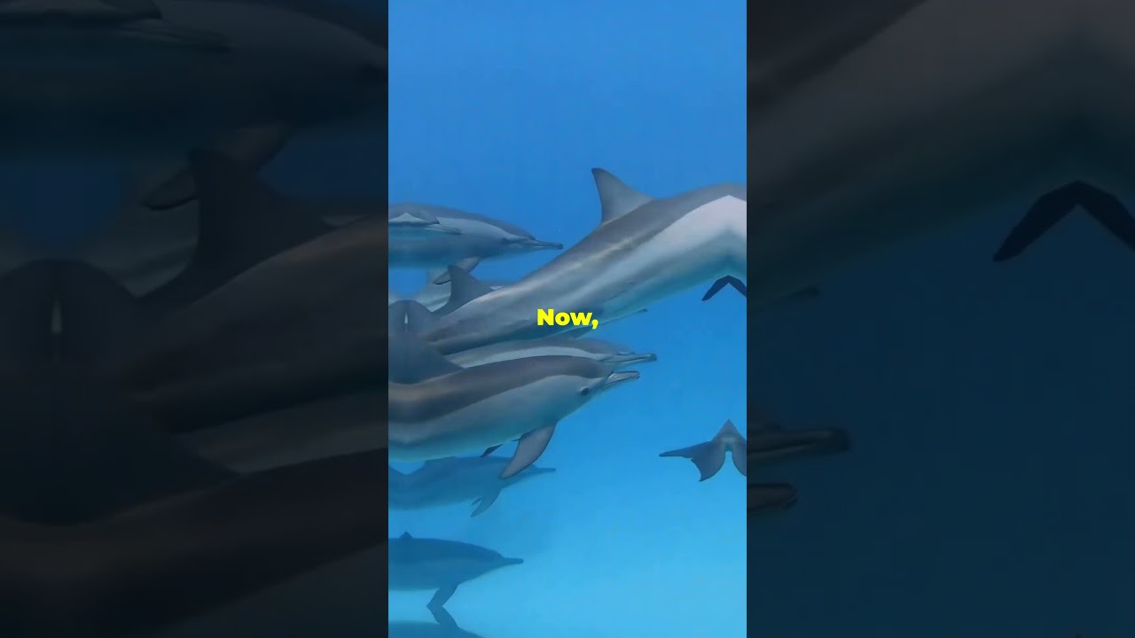 5 cases of animals taking revenge on humans! 