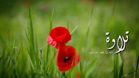 سورة الحجرات, الآية 12: ياأيها الذين آمنوا اجتنبوا كثيرا من الظن إن بعض الظن إثم