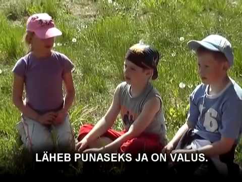 Video: Päikesepõletused Valgevenes. Rahvas Patustab Kiirguse Peale