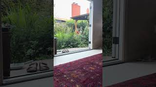 Garden studio update!