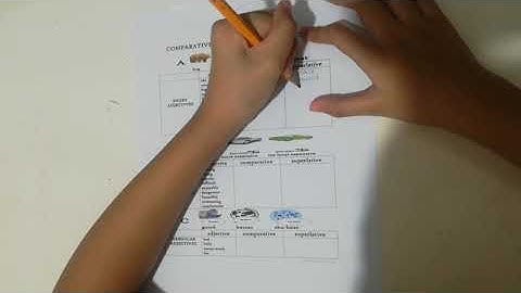 Grade 3 English Performance Task I FMS Homeschool