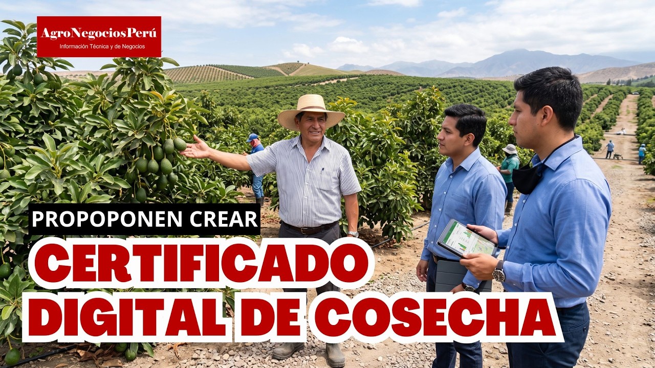 Proponen usar cosechas futuras como garantía para créditos agrícolas