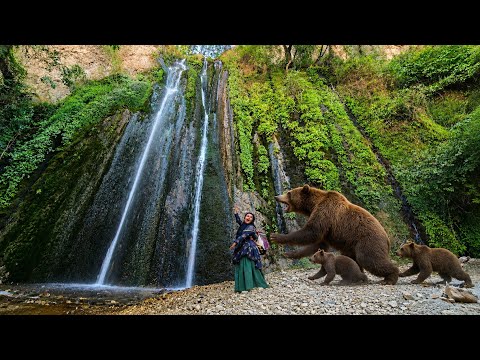 🐻🏔️ A Heart-Pounding Encounter in the Mountains | A Mother Bear and Her Cubs Near a Waterfall 🌿💧