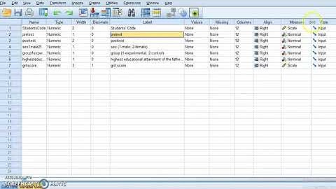 How to import data from Excel to SPSS