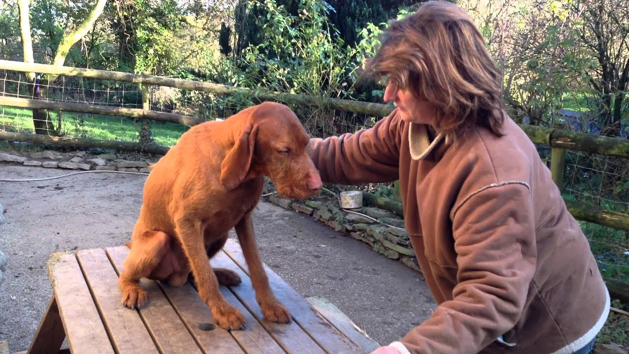 How to prepare your scent swab