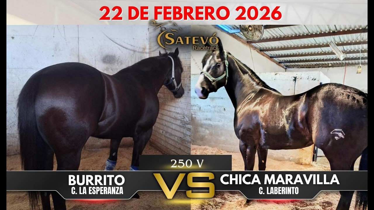 El Burrito vs La Chica Maravilla