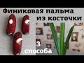 3 СПОСОБА вырастить финиковую пальму в дома.