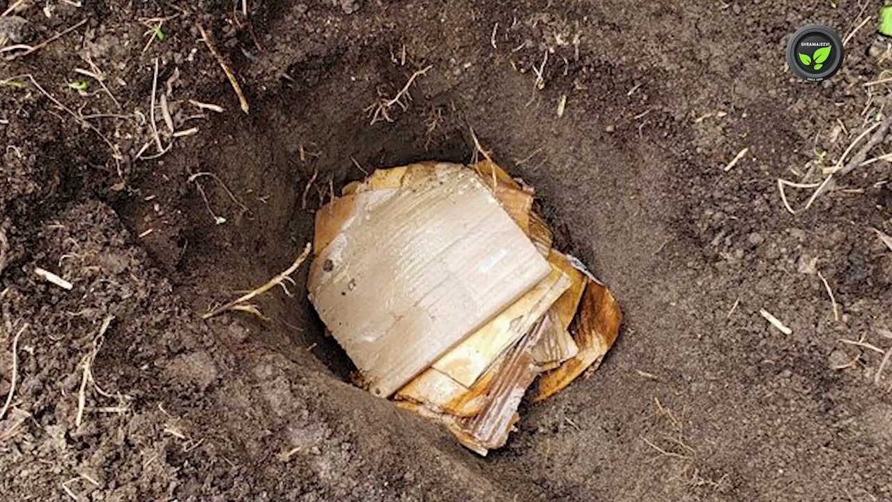 ವಿವಿಧ ವಿಧಾನದಲ್ಲಿ ಎರೆಗೊಬ್ಬರ-ಎರೆಜಲ ಉತ್ಪಾದನೆ - ಡಾ. ಪ್ರಸನ್ನ ಪಿ. ಎಂ. | Different Types of Vermicompost