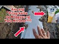 Ano ang Pinag-kaiba ng Nilagyan ng Yara Nitrabor? [Egg Plant Farming]