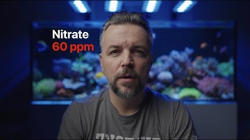 Overdosing Nitrate in a Reef Tank