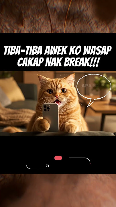 Bila tengah scroll tenang-tenang, tiba-tiba dia cakap nak break 💔 #cat #funny