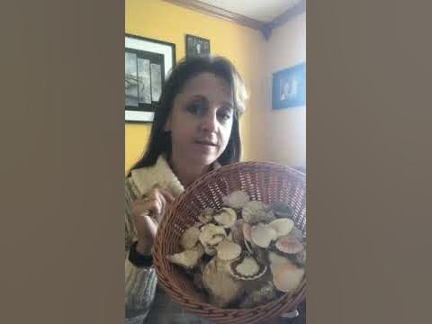 Collections- sorting and classify- shells - YouTube