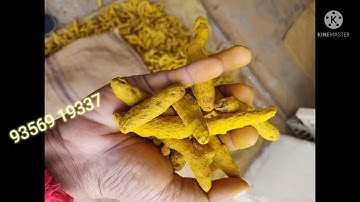Export quality Turmeric Finger (Salem Variety) | Indian Turmeric Finger | Double Polished |