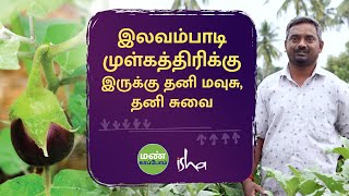 பாரம்பரிய முள்கத்திரியை மீட்டெடுத்த சாதனை விவசாயி by மண் காப்போம் - காவேரி கூக்குரல் 24,639 views 1 month ago 11 minutes, 38 seconds