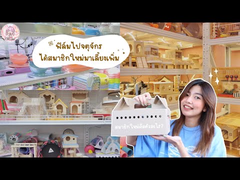 Vlog ตะลุยตลาดจตุจักร ฟิล์มได้สัตว์มาเพิ่มด้วย คือตัวอะไรน้า ⁺ ꊞ | Film Happy Channel