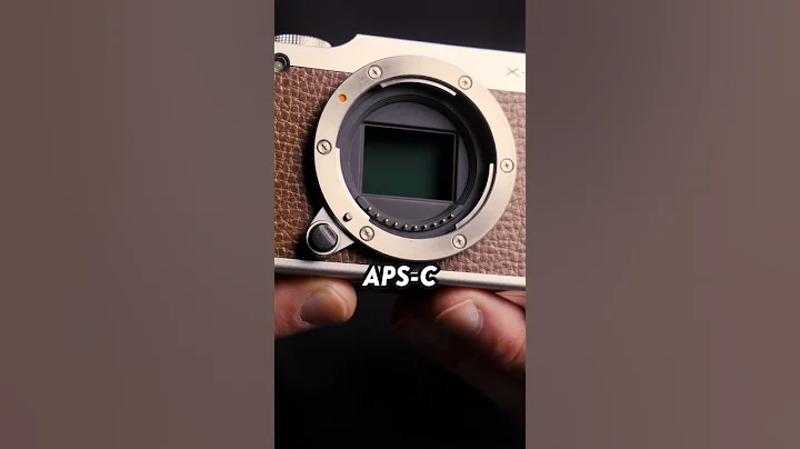 3 Best Cameras For UNDER $250 📸💸