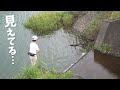 見えてる魚に最高すぎるエサを落としてみた！