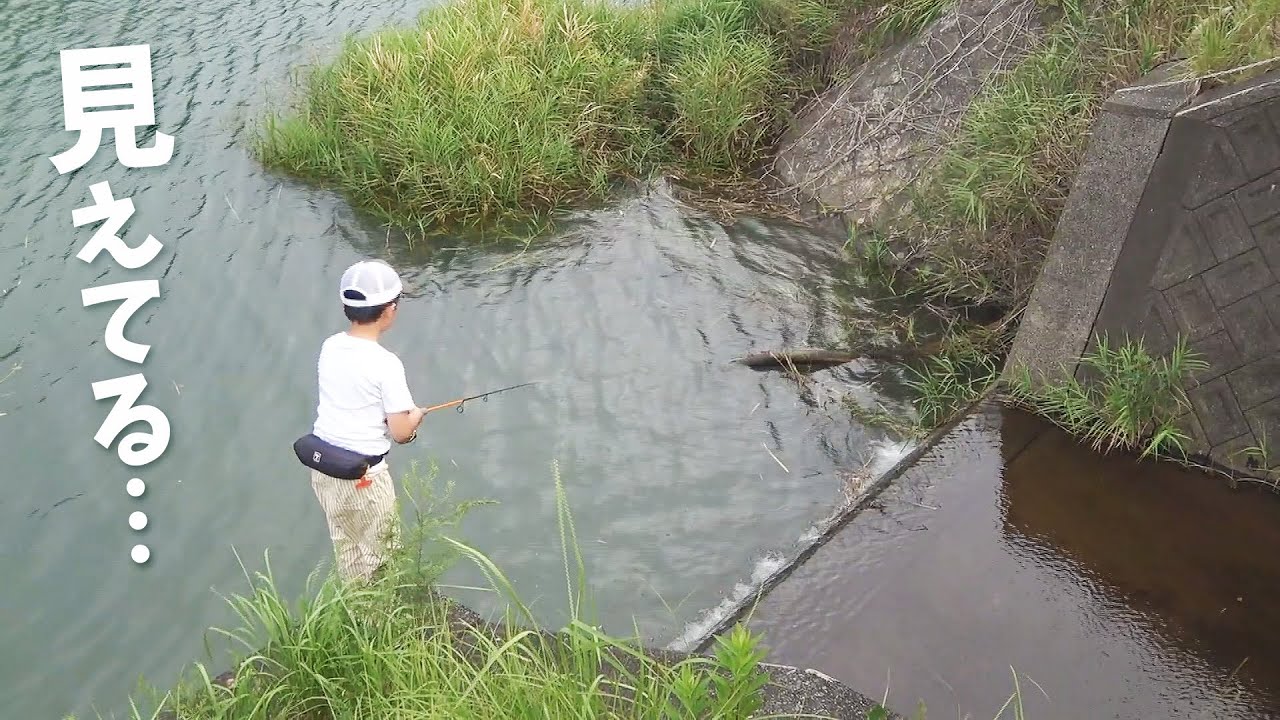 見えてる魚に最高すぎるエサを落としてみた！