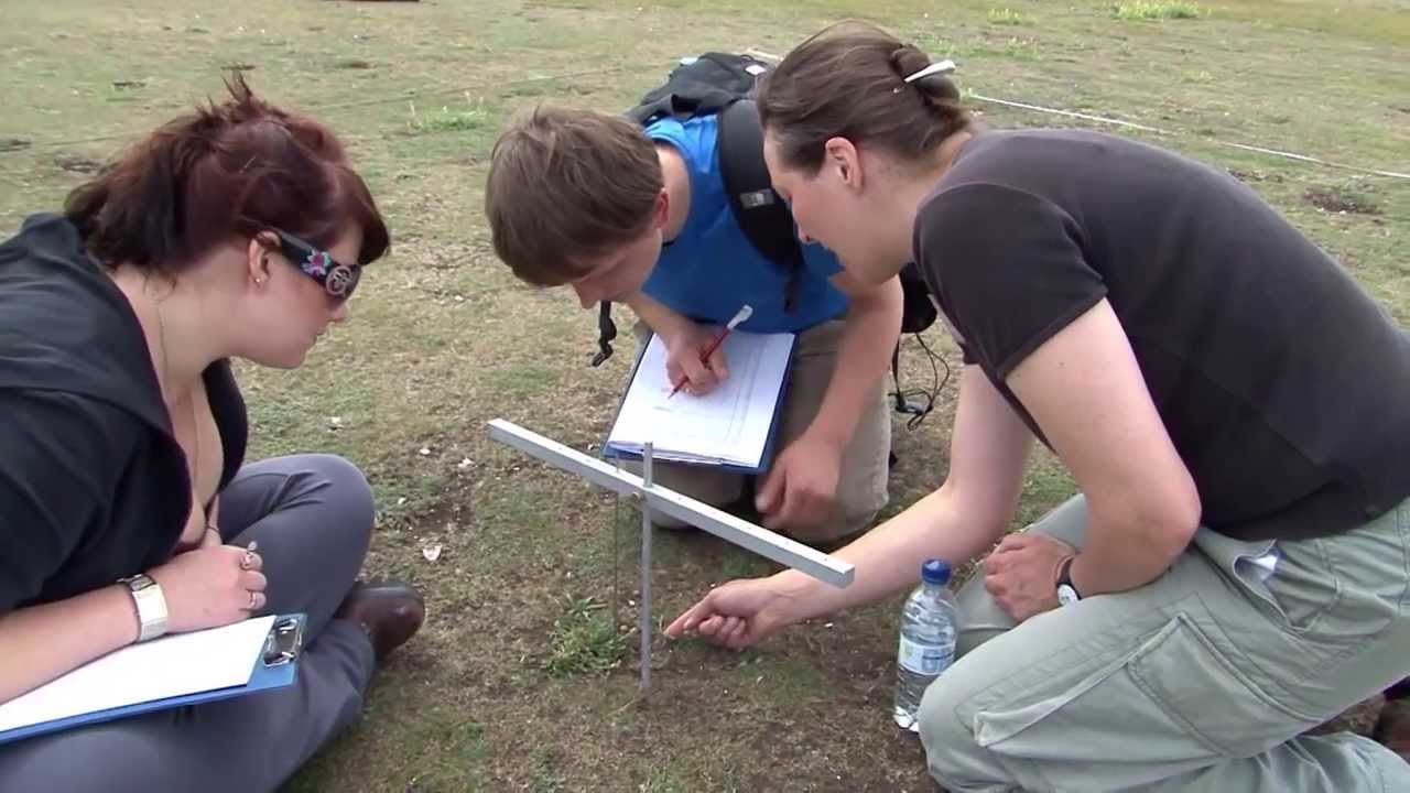 The OpenScience Laboratory