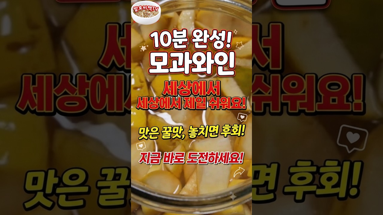 10분 완성! 모과와인 만들기 레시피 숏폼 썸네일
