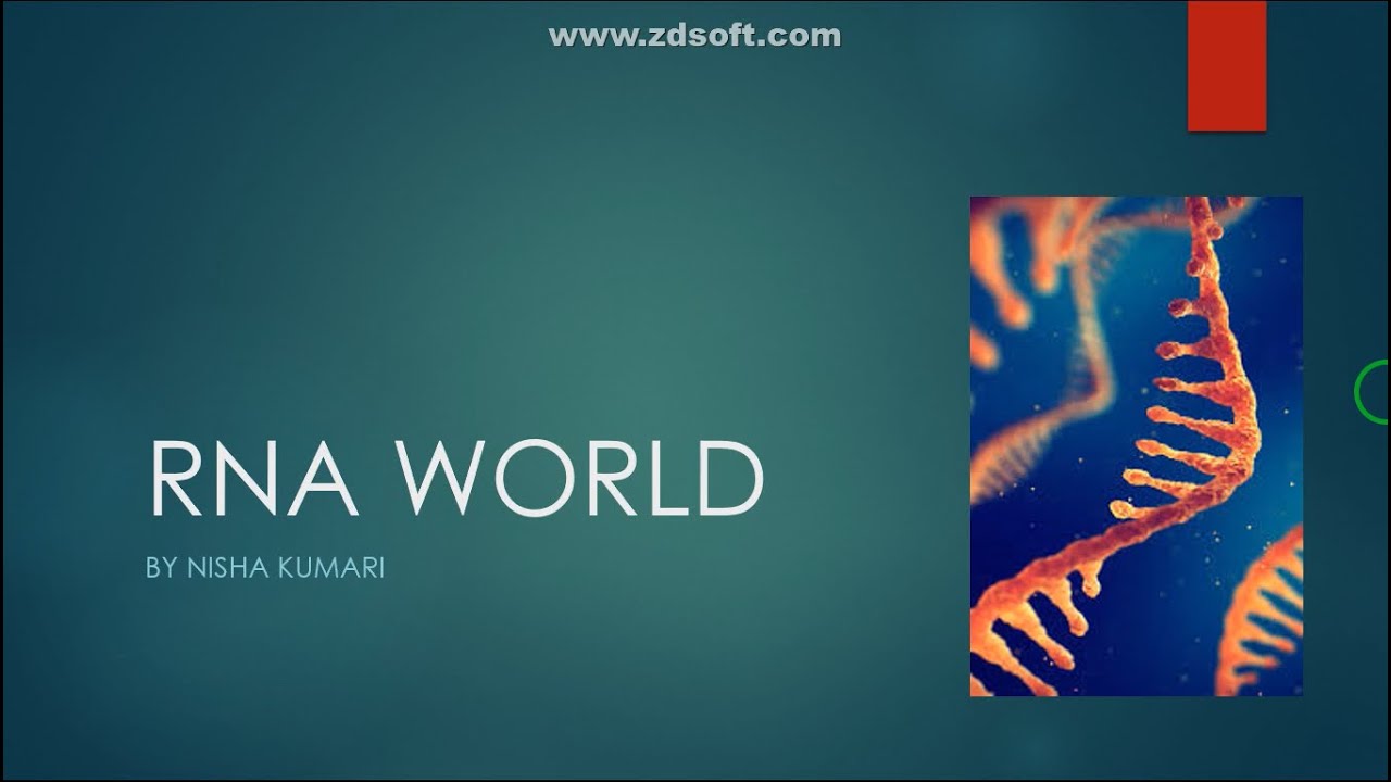 RNA WORLD - YouTube
